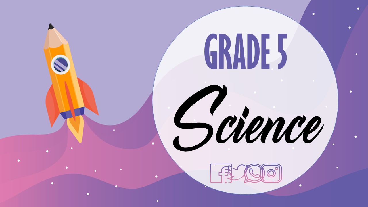 131231 Grade 5 Bonifacio - Science