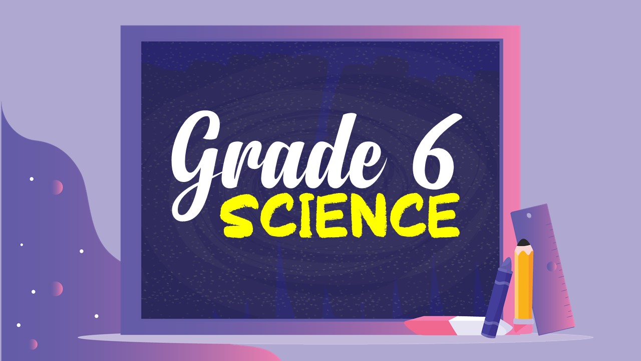 131231 Grade 6 Aguinaldo - Science