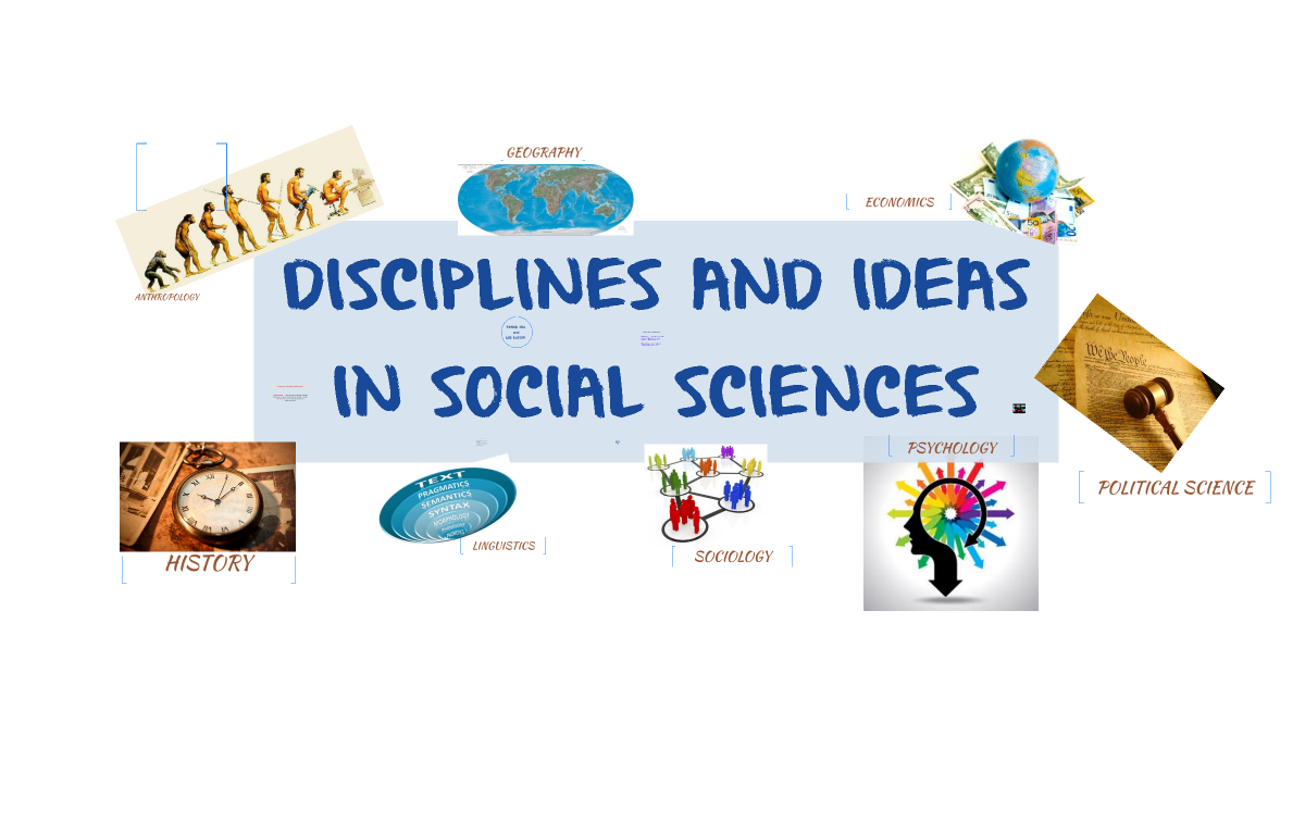 Disciplines and Ideas in the Social Sciences