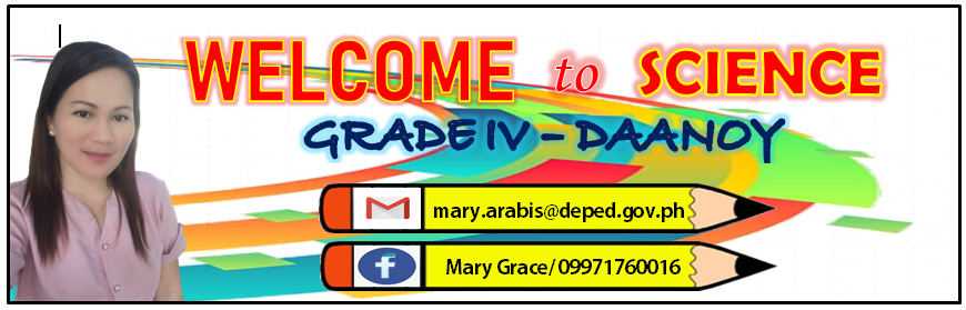 131220 / Grade 4 / DAANOY / SCIENCE