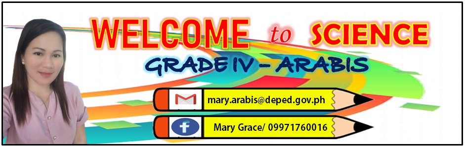 131220 / Grade 4 / ARABIS / SCIENCE