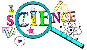 131220 / Grade 6 / COLACION / SCIENCE